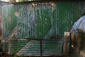 exterior of shack, recycled corrugated iron077