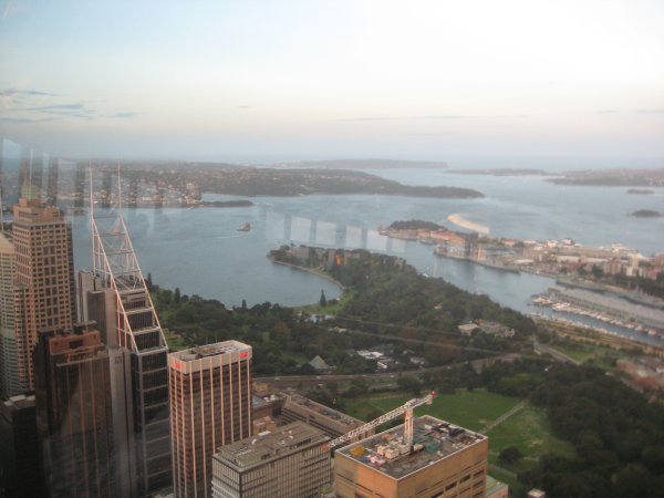 Botanical Gardens et Sydney Harbour depuis la Sydney Tower de jour