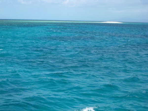 Mackay reef 1