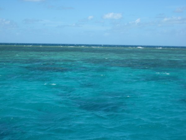 Mackay reef 2