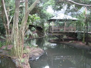La partie "rainforest" du parc animalier de Port Douglas