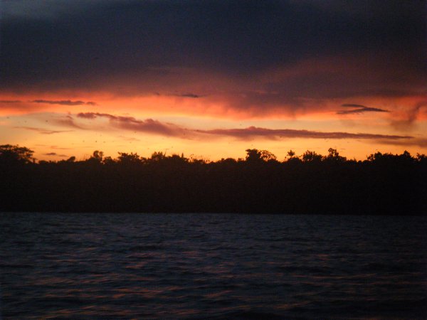 River cruise - Chauve-souris et coucher de soleil