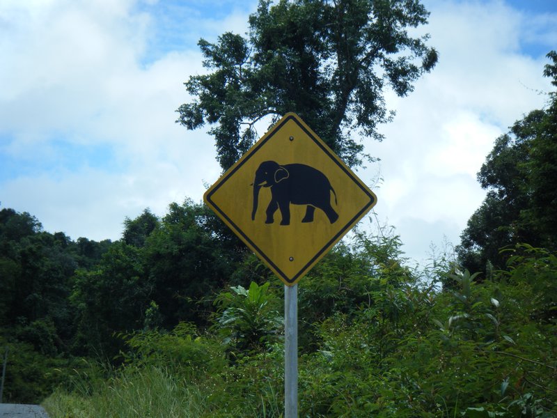 Attention aux elephants!