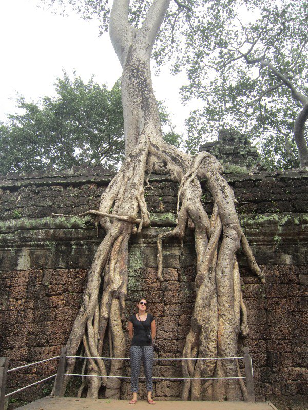 Sara devant un autre arbre recouvrant un autre temple