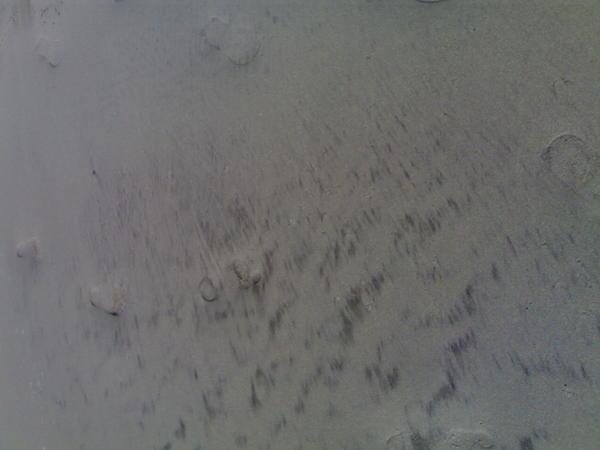 footprints in the sand...