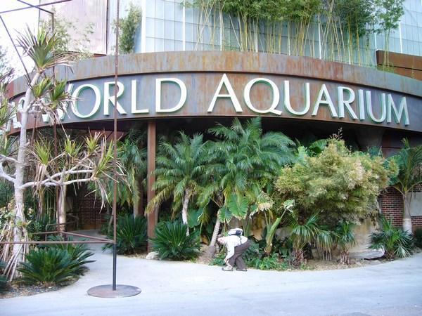 Aquarium entrance
