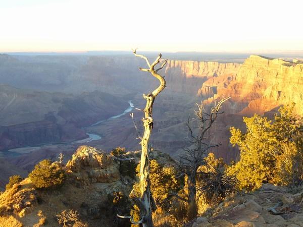 Colorado river in canyon at sunset