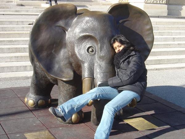 Baby elephant in Vienna