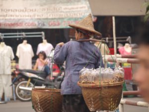 burmese mobile 'stall'