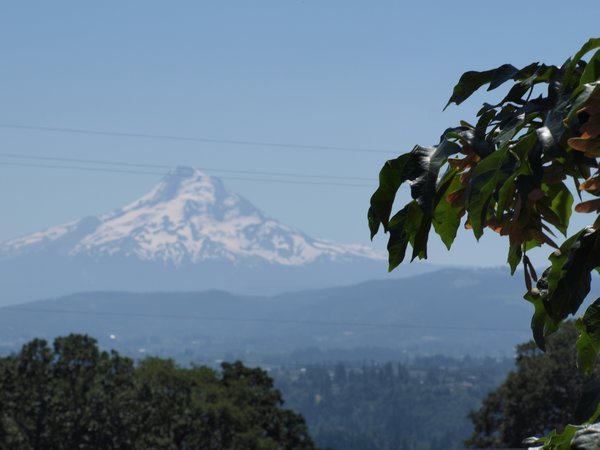 Mt Hood - view from White Salmon