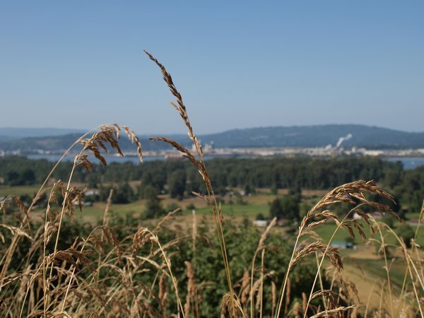 view to Washington state from Longview, Oregon