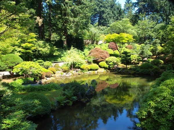 japanese gardens @ Washington Park