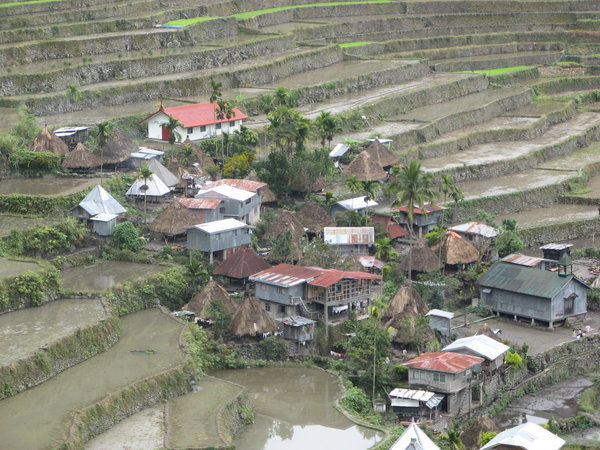 Rice terraces, Batad