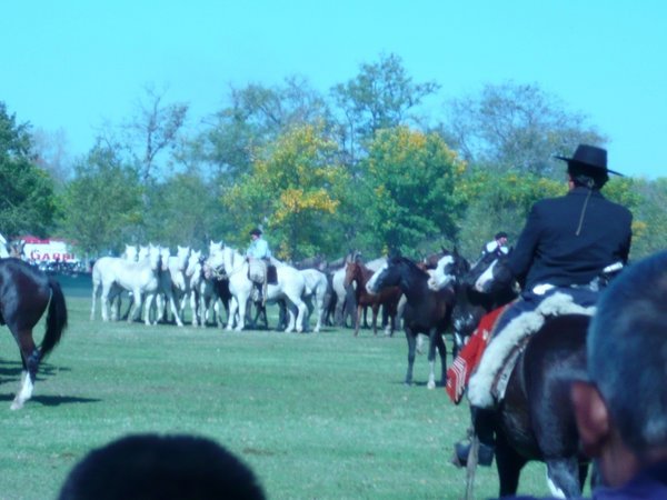 Gaucho competition