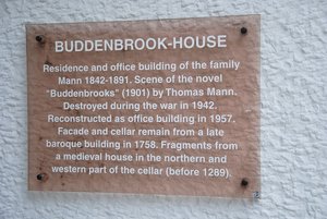 The Buddenbrooks by Thomas Mann