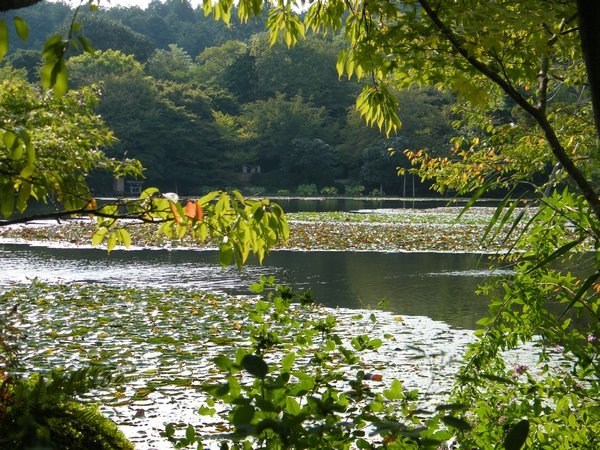 Famous garden kyoto
