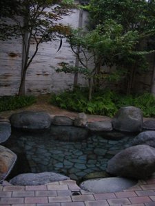 these are the natural hot spring in/out door pools
