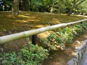 Bamboo railings