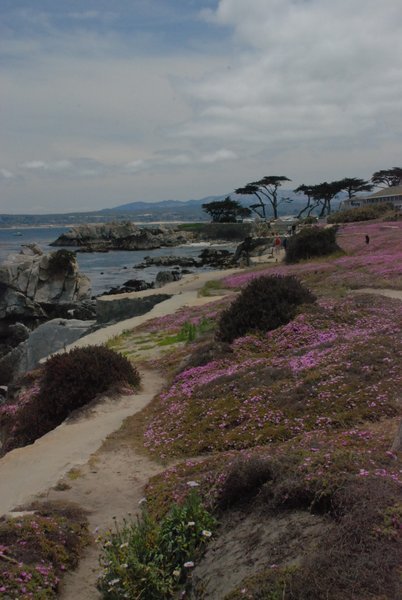 17 mile drive - Monterey Bay