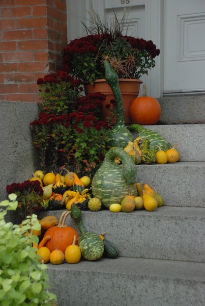 A few more gourds, for good measure...