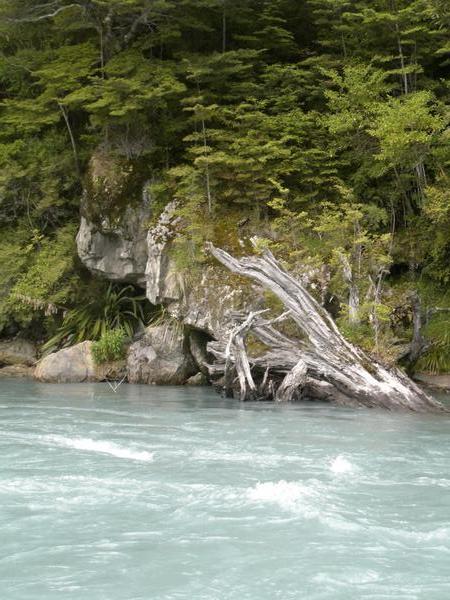 The Icy Waters of The Dart River,