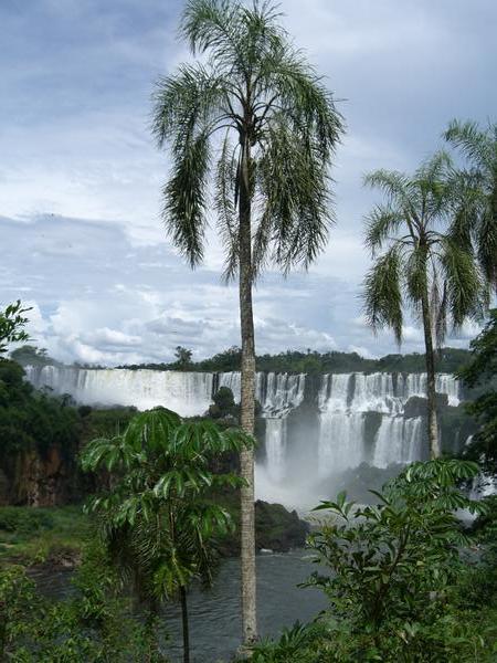 Spectacular Iguazu