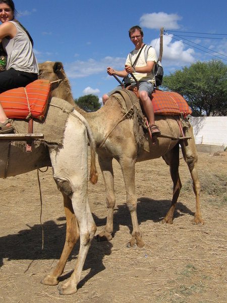 On the Camel