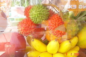 Different kinds of Fruits