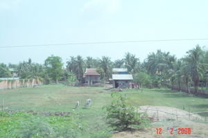 rural area