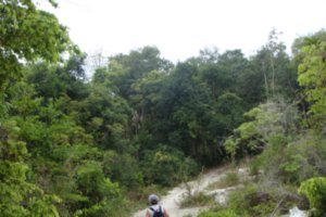 walking in the jungle on Koh Lipe