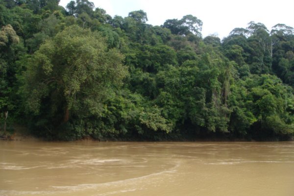 Rejang River, Belaga to Kapit