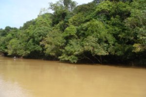 Rejang River, Belaga to Kapit