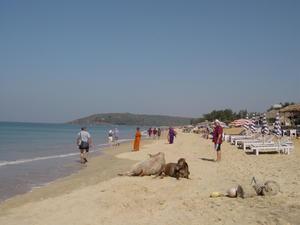 Baga Beach in Goa 