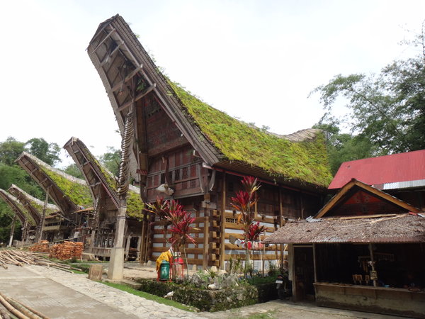 Toraja Houses