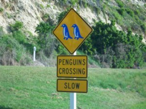 Penguin Crossing sign!