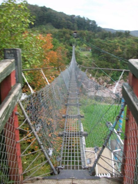 longest swing bridge in NZ