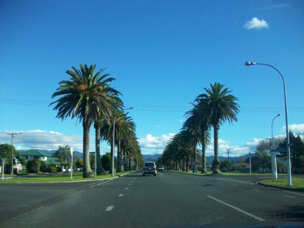 drive to Auckland, beach, climbing 033