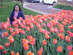 Ann and Tulips