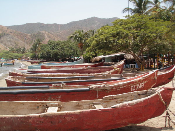 Fishing Boats, Taganga