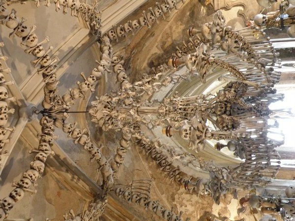 Chandelier made with every bone in the human body
