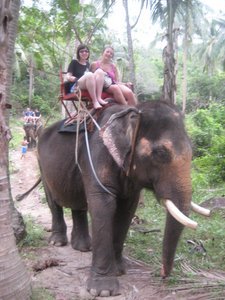 nellie the elephant