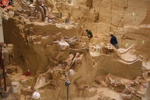 Mamoth Excavation Site