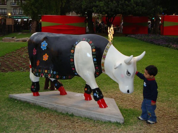 Kuh in Miraflores