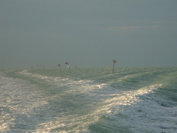 Auf dem Weg nach San Pedro, Ambergris Caye... Palmen im Meer?