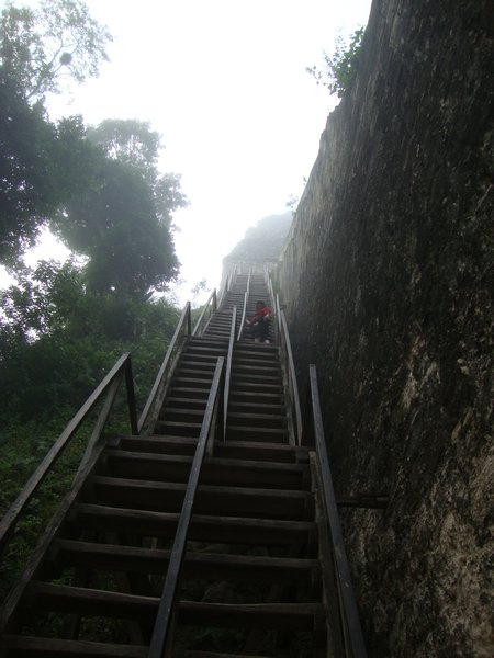 Die saumaessig steilen Treppen hoch auf Tempel V