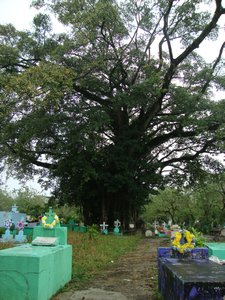 im staedtischen Friedhof