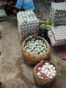Enten und Huehner eier