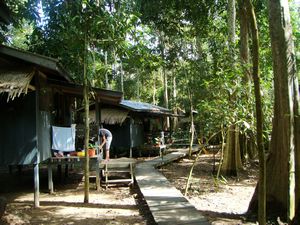uncle Tan Jungle Camp