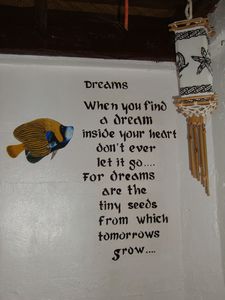 about dreams