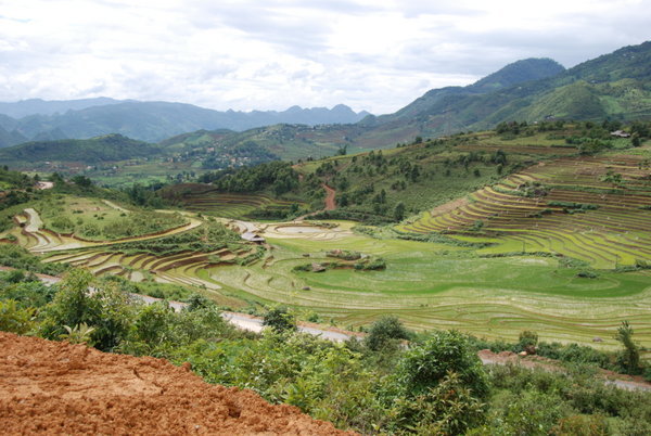 Views of the rice terraces